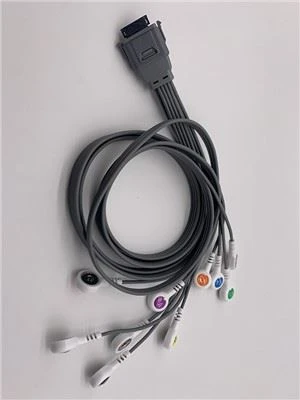 ECG biomedical Holter face 10 plumb